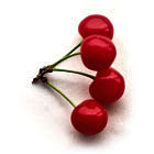 SOUR CHERRIES